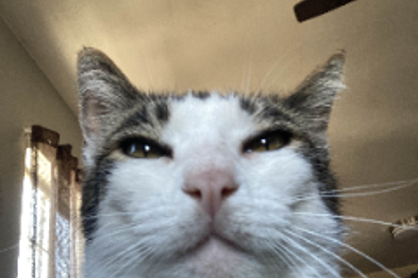 Превью: Их величества