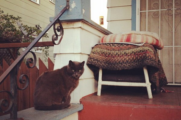 Дворовый философ