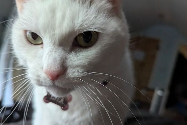 Строгий взгляд