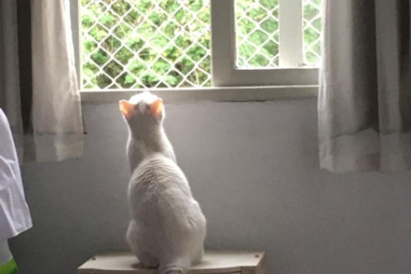 Превью: Охотники